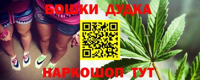 ГАЛЛЮЦИНОГЕННЫЕ ГРИБЫ Сланцы