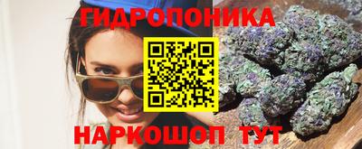ГАЛЛЮЦИНОГЕННЫЕ ГРИБЫ Сланцы