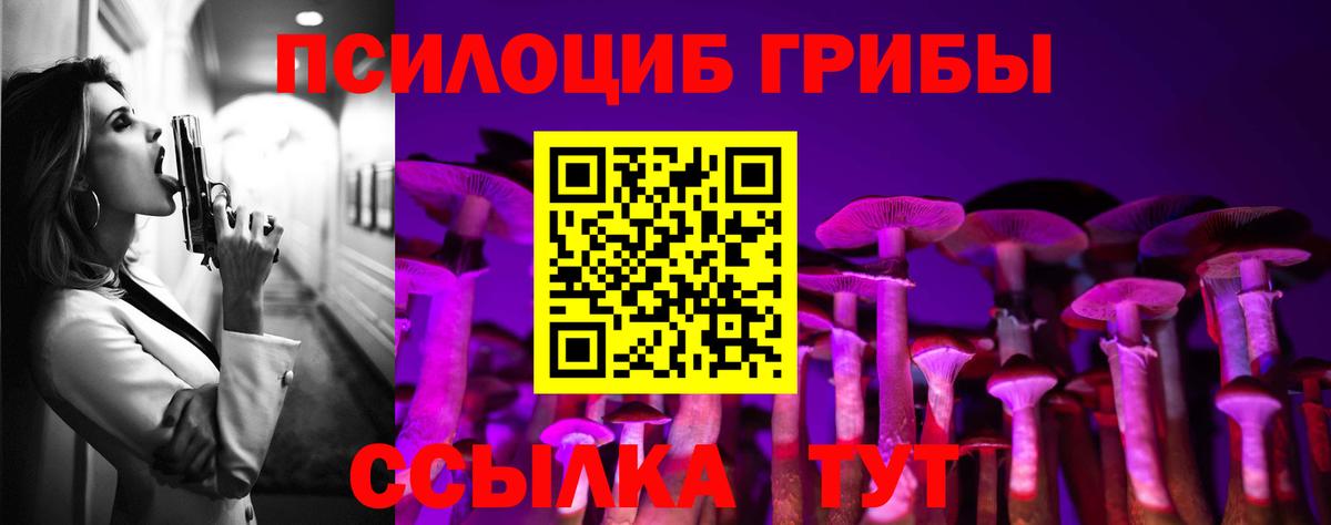 Курган  купить закладку  Вход с VPN  Галлюциногенные грибы мицелий  Галлюциногенные грибы мицелий 