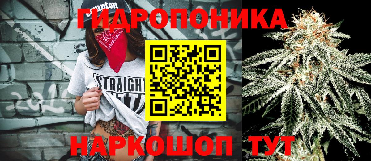 Курган  МАРИХУАНА THC 21%  Вход с VPN  Каннабис ГИДРОПОН  Шишки марихуана гибрид 